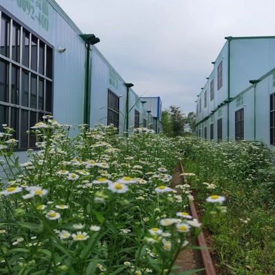 Workshop Warehouse Construction Office Container Houses Modern Modular Mini 3 Bedrooms